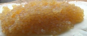 How to pickle pike caviar at home - 5 correct and tasty recipes