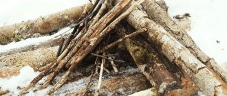 Подготовка дров для костра зимой