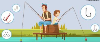Принципы выбора крючков для рыбалки