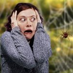 страх перед пауком